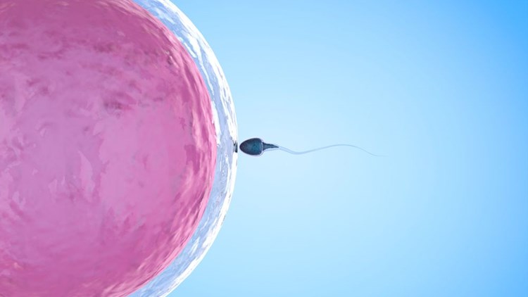 14 φυσικοί τρόποι για την βελτίωση της γονιμότητας.